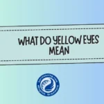 What Do Yellow Eyes Mean? Hidden Meanings, Emotions & Real-Life Use Explained