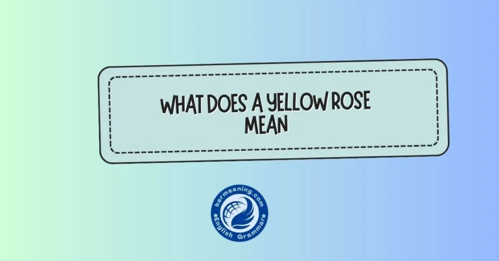what does a yellow rose mean