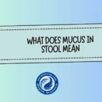 What Does Mucus in Stool Mean? A Clear, Honest Guide You Can Actually Understand