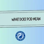 What Does “POD” Mean? A Complete Guide to Its Real Meaning in Text, Work & Everyday Life