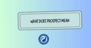 what does prospect mean