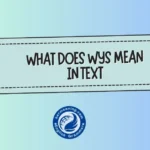 What Does WYS Mean in Text? Real Meaning, Usage & Hidden Tone Explained
